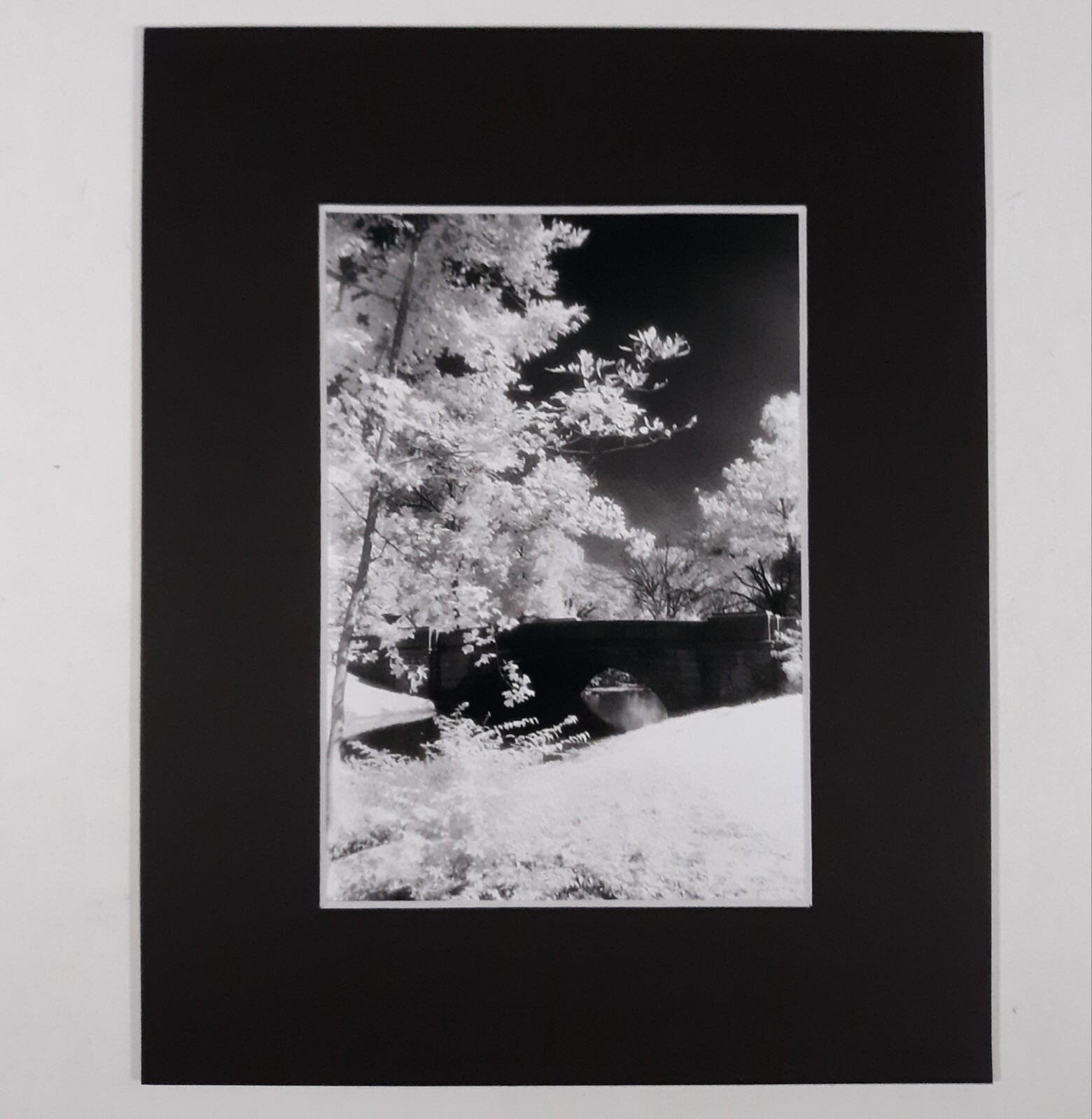 Black Mat Photo Landscape Park Infrared Photography Bridge Trees Art Print