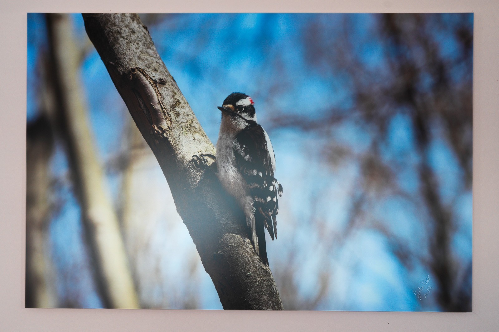 Gallery-Quality HD Acrylic Print – Metallic Paper with Anti-Glare Technology
