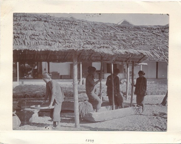 Photo Sri Lanka Ceylon, 1899, Grinding Women at Grain – 10411534