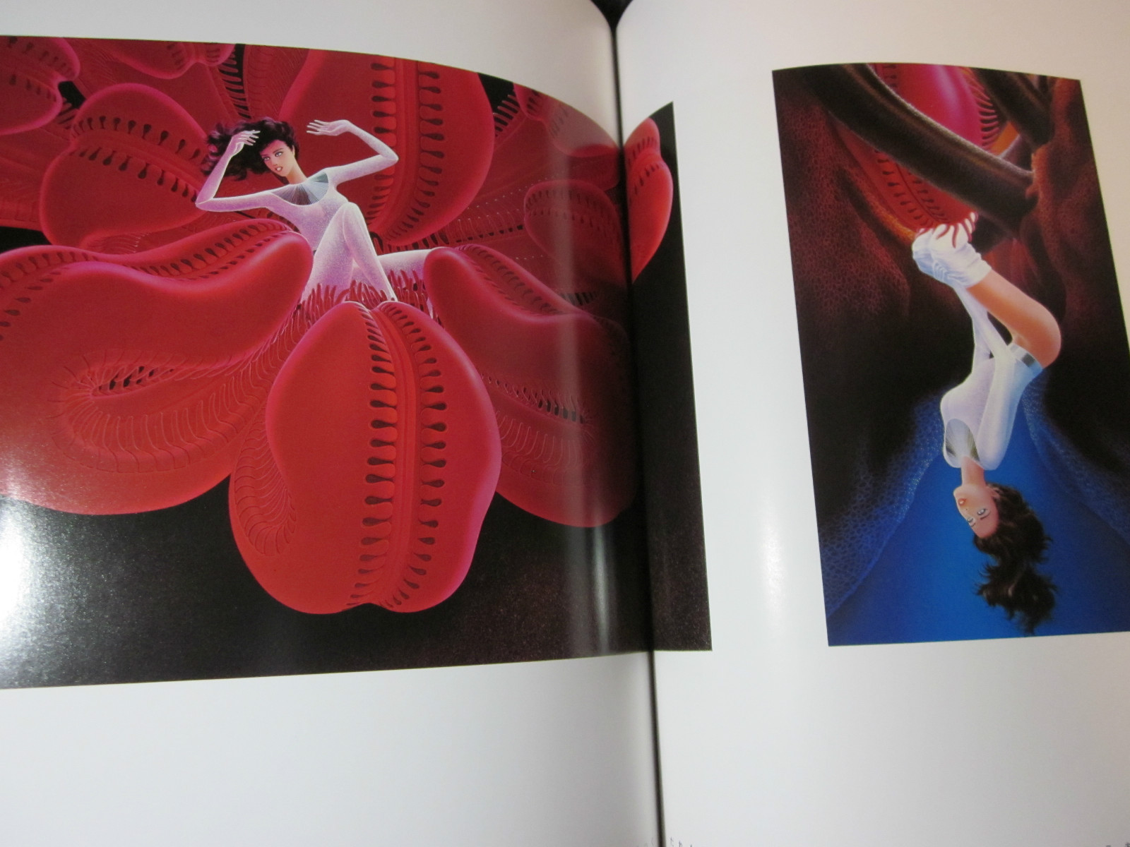 Art Illustrations Book SHUSEI NAGAOKA “ANDROLA IN LABYRINTH” 1984, JAPAN, Good