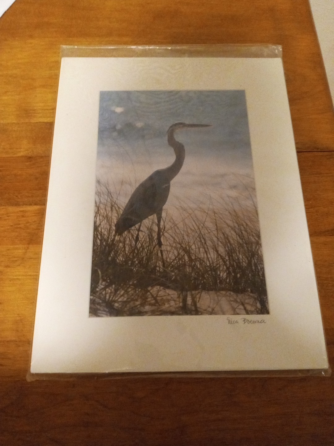BLUE HERON Art Print Photography Signed Erica Boerma