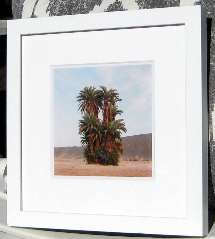 M’hammed Kilito Fine Art Color Photograph of Moroccan Oasis Framed