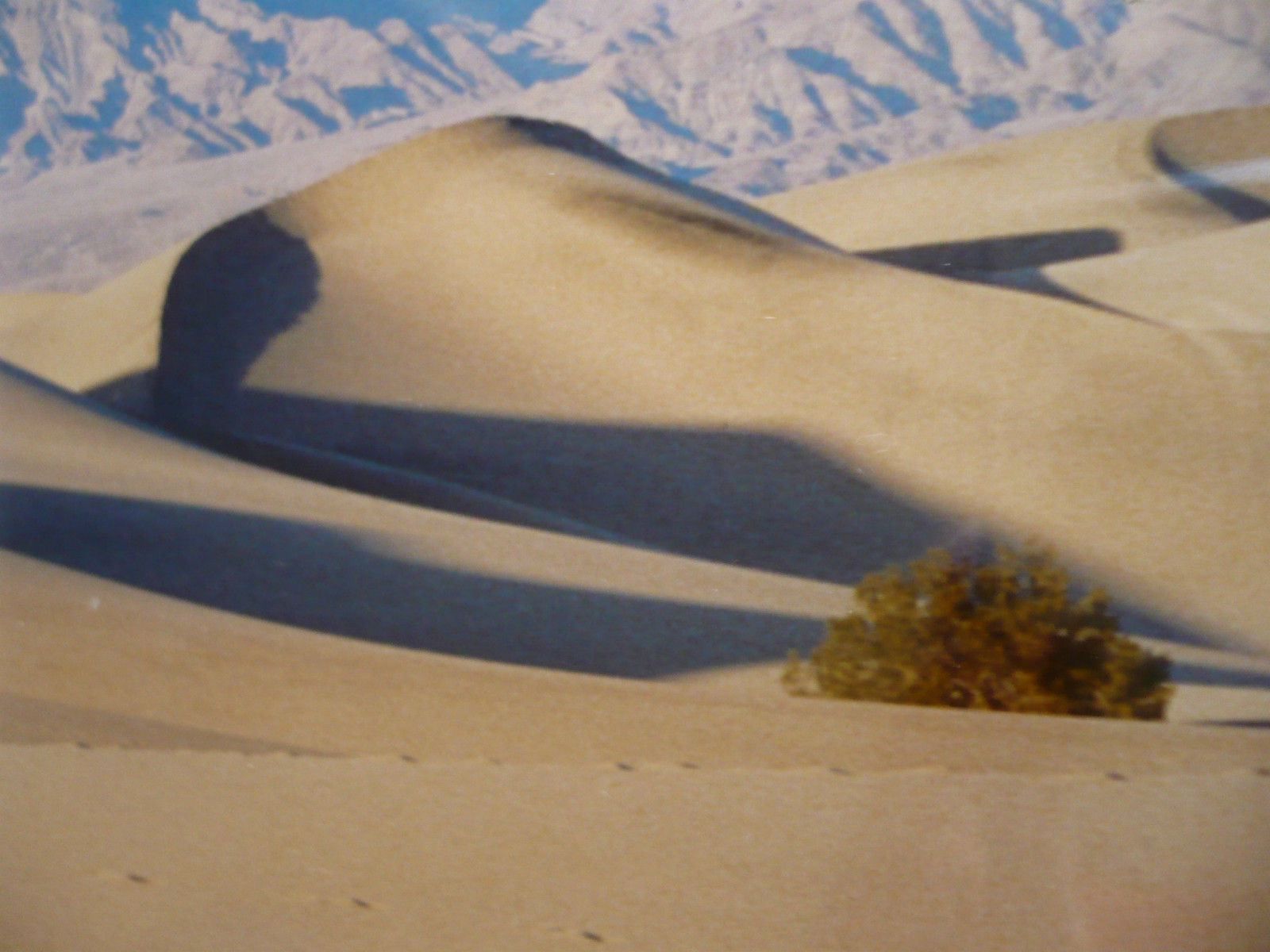 DESERT VALLEY DUNES LAURA FEASTER, CA DESERT PHOTOGRAPH DEATH VALLEY CALIFORNIA