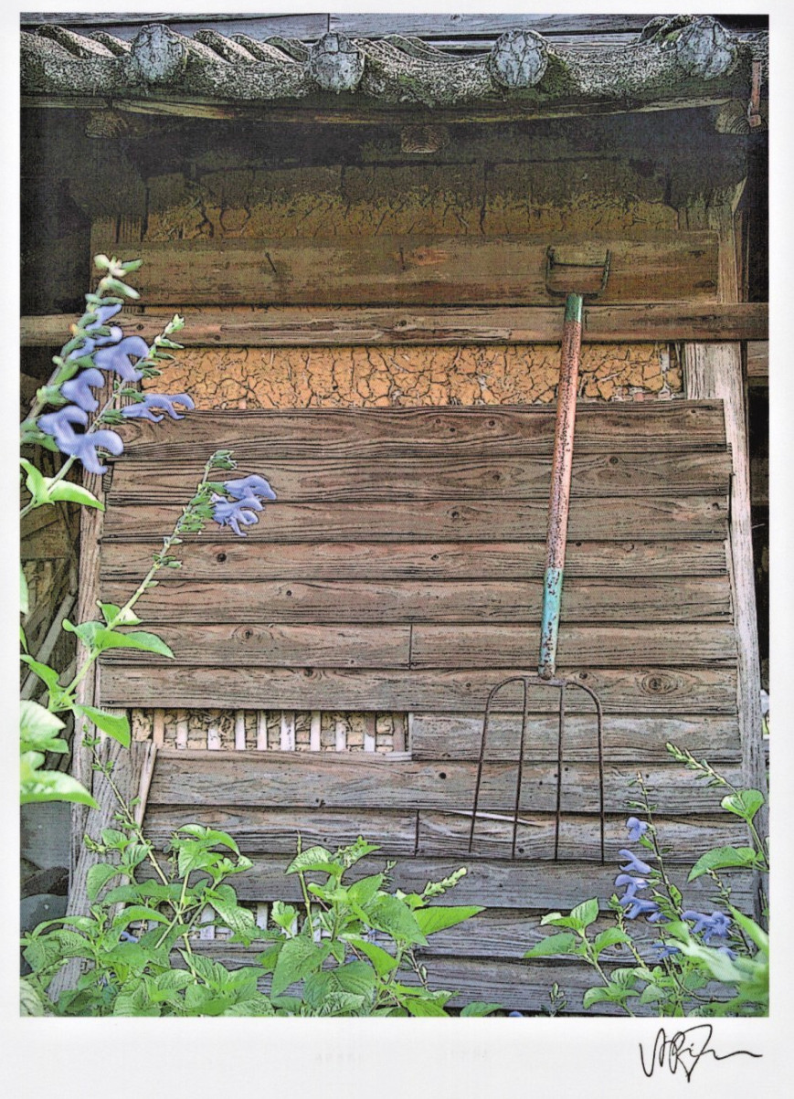 Signed Rustic Farm Shed Photograph Art Print Garden Flowers Pitchfork B2