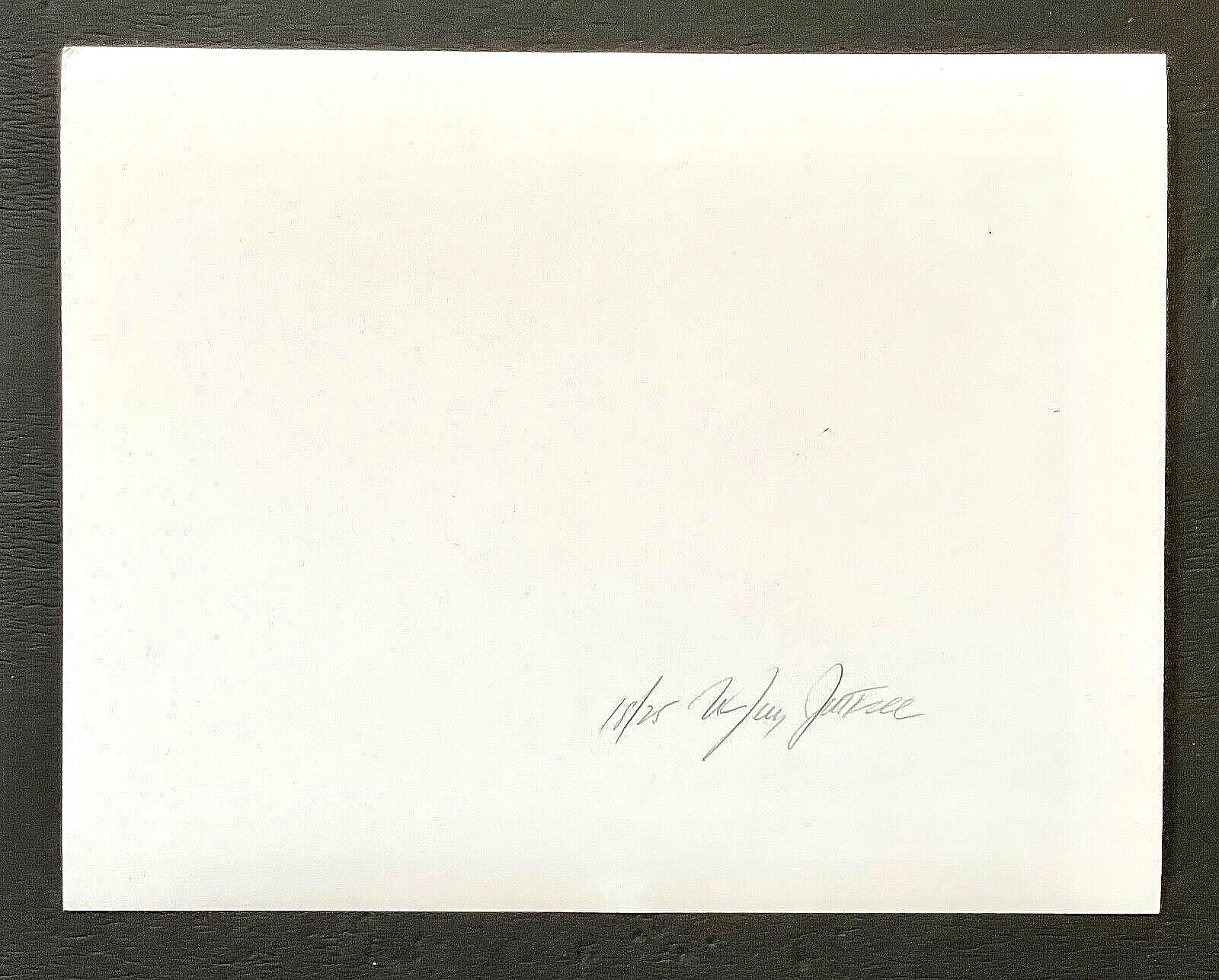 Original SIGNED N. JAY JAFFEE Gelatin Silver Photograph (Flowers in Landscape)