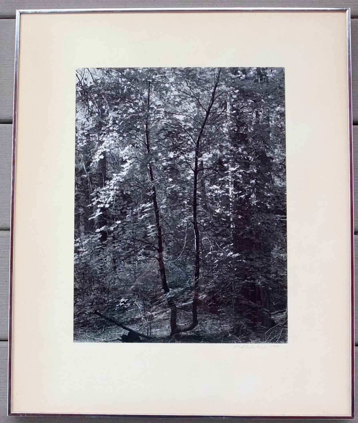 Robert (Bob) Werling 1968 Photograph Early Morning Light Pencil Signed In Frame
