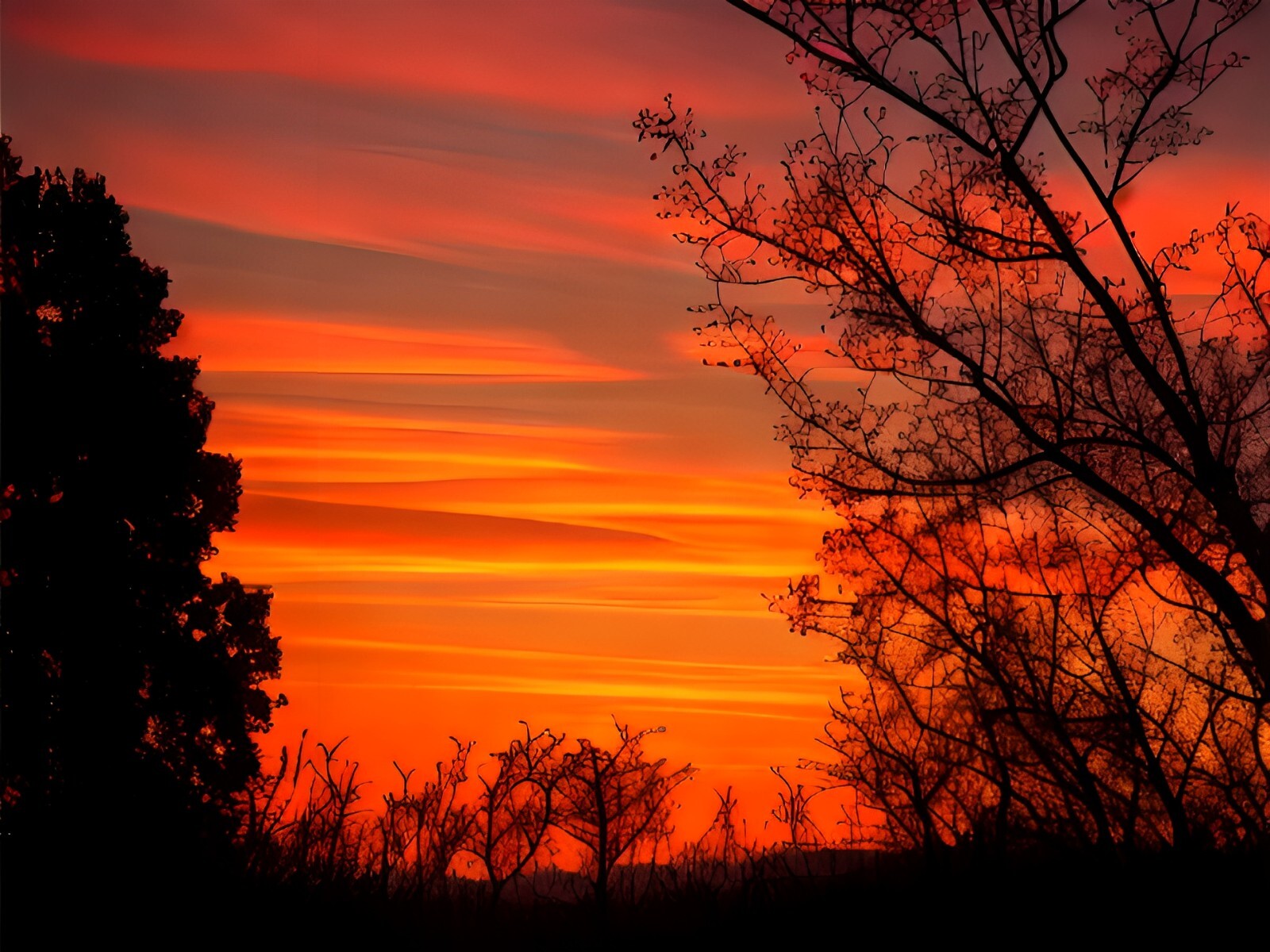 Photo Digital Product Wallpaper Image Picture Background for a print sunset