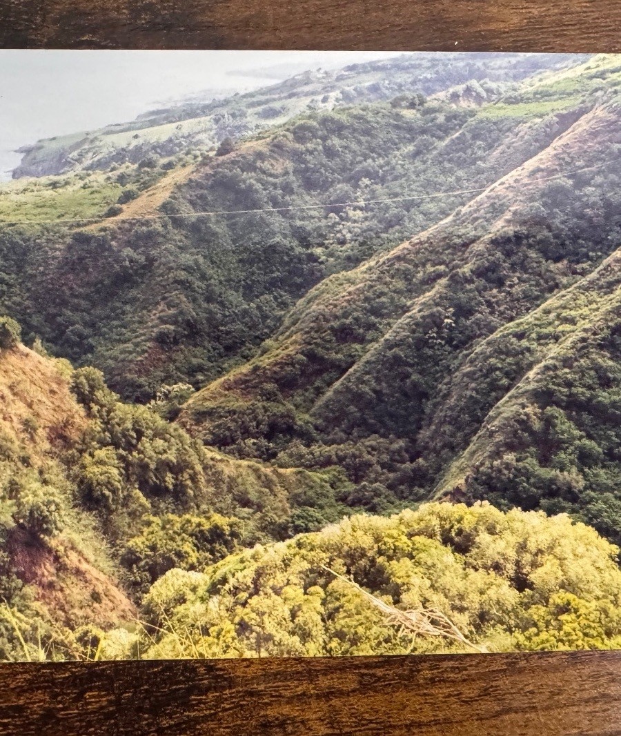 Original Hawaii Travel Photograph Collection | 40+ Color Photos | 4 x 6 Inch