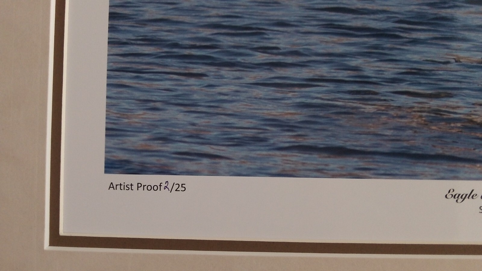 Eagle 16×20 Matted photograph, top mat suede, Beautiful NEW
