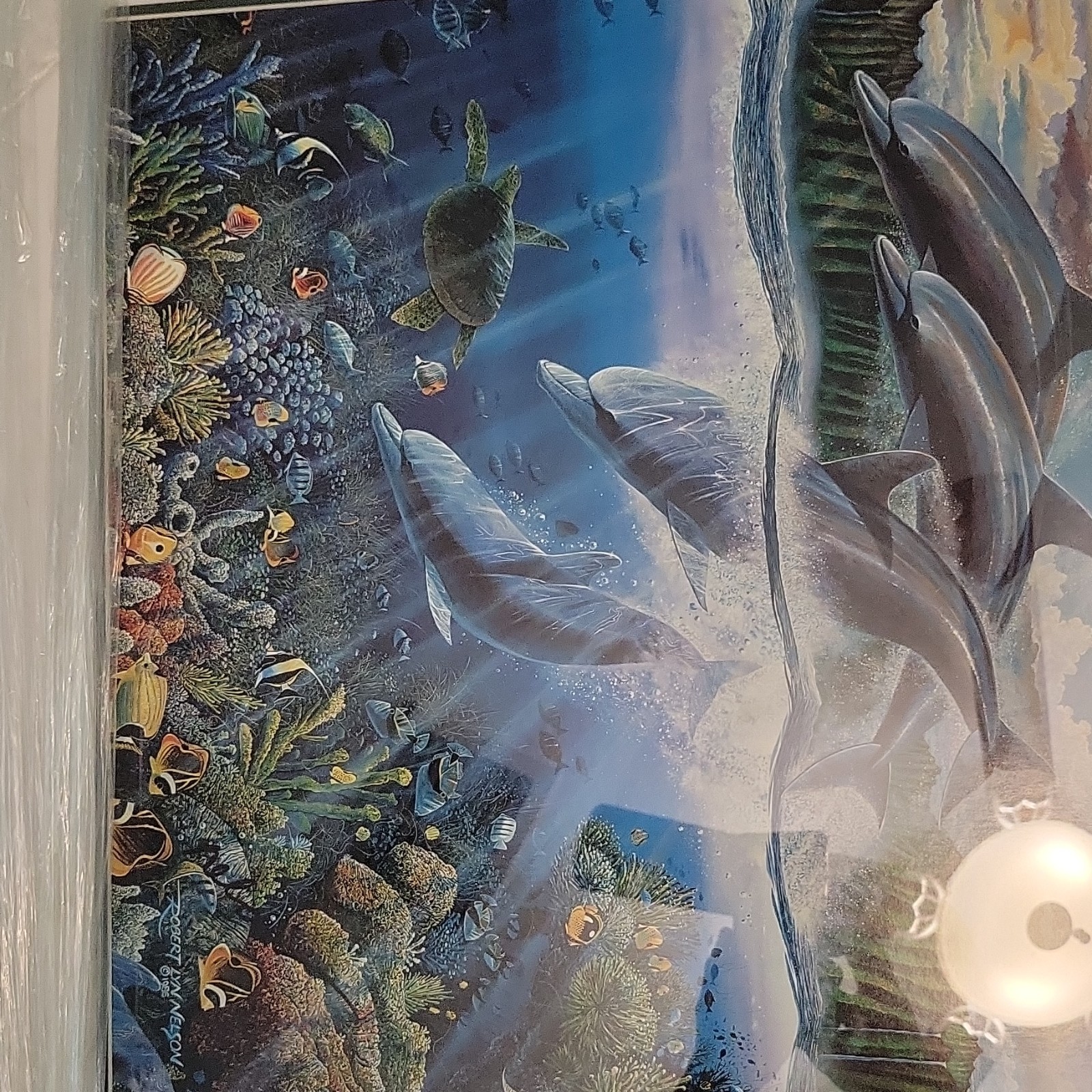 Dolphin Time