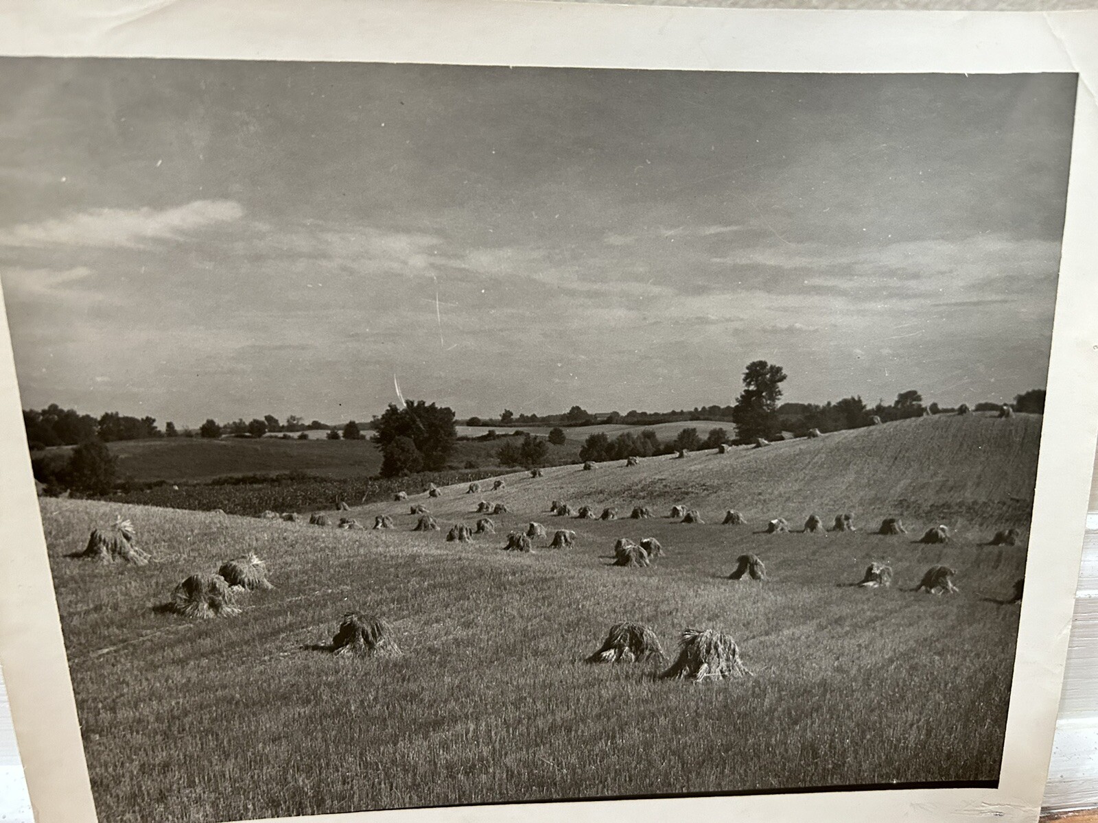 Arthur Gray Standard Oil Photographer Cleveland Ohio Americana Haystacks Monet