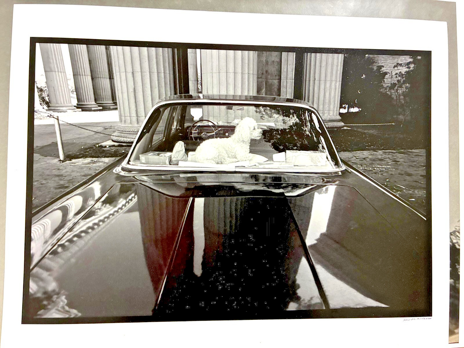 Neal White Signed Photograph “No Dogs Allowed” – 1976/2006 Epson Print