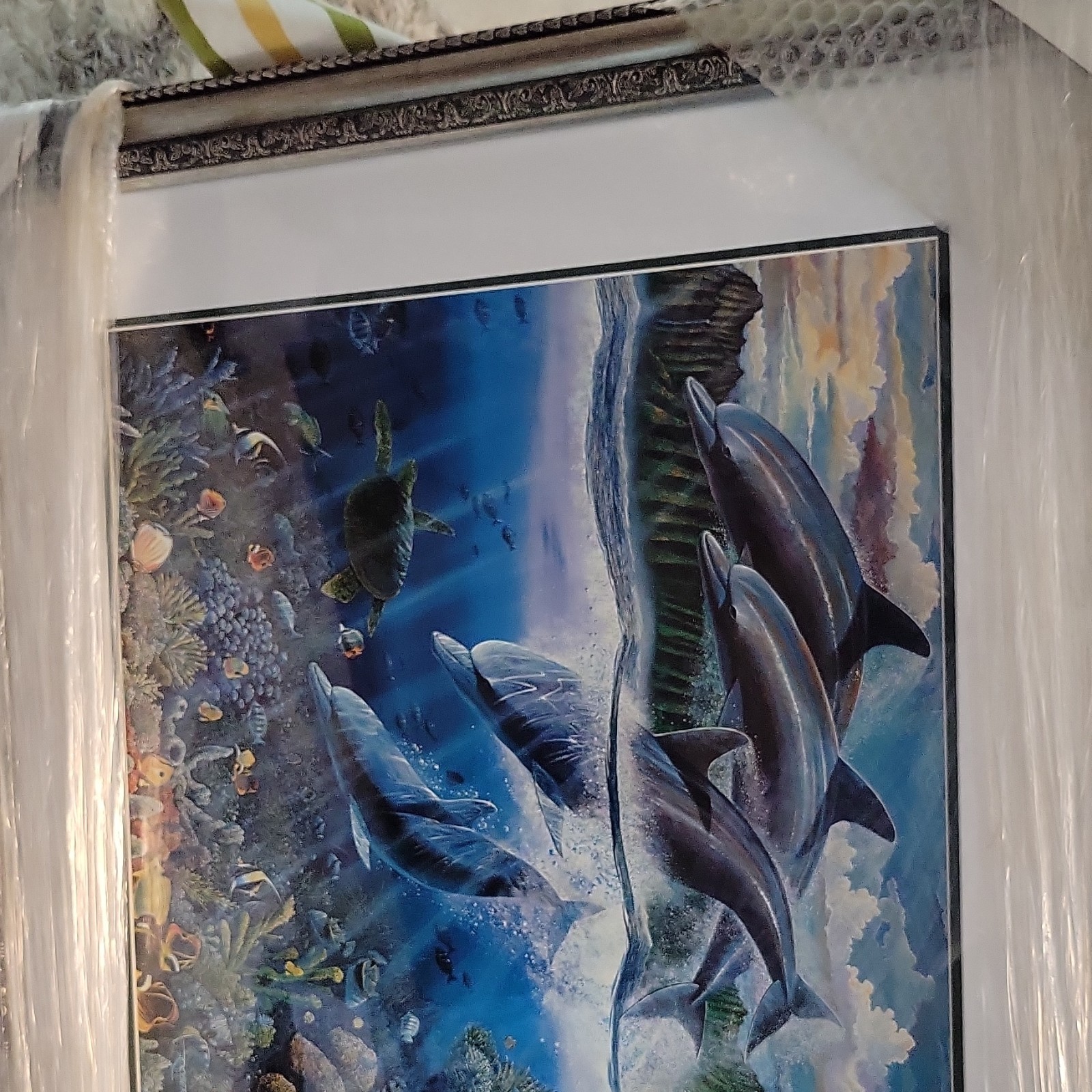 Dolphin Time
