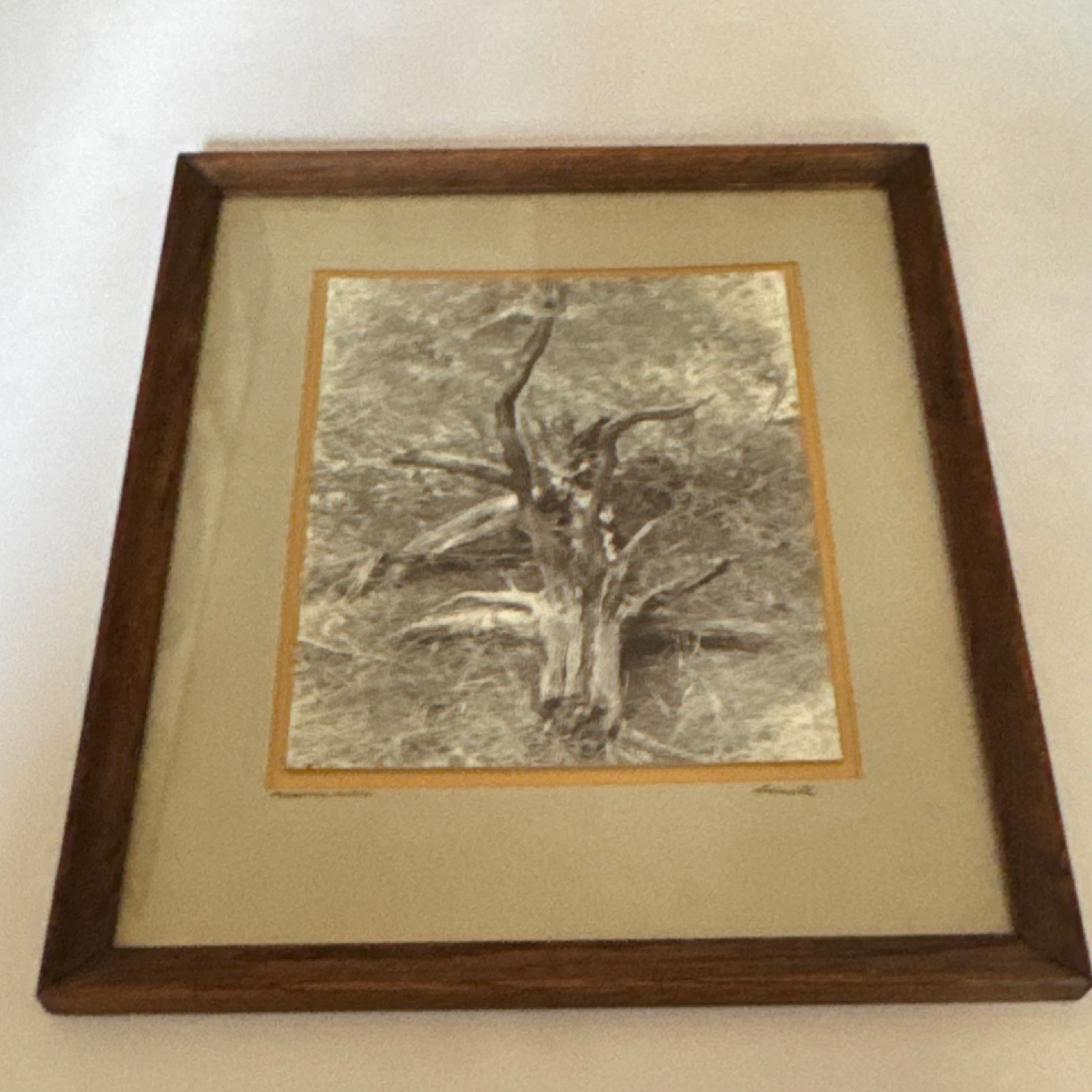 L. Willi Signed Black & White Photograph Forgotten Forest Framed Portrait Art