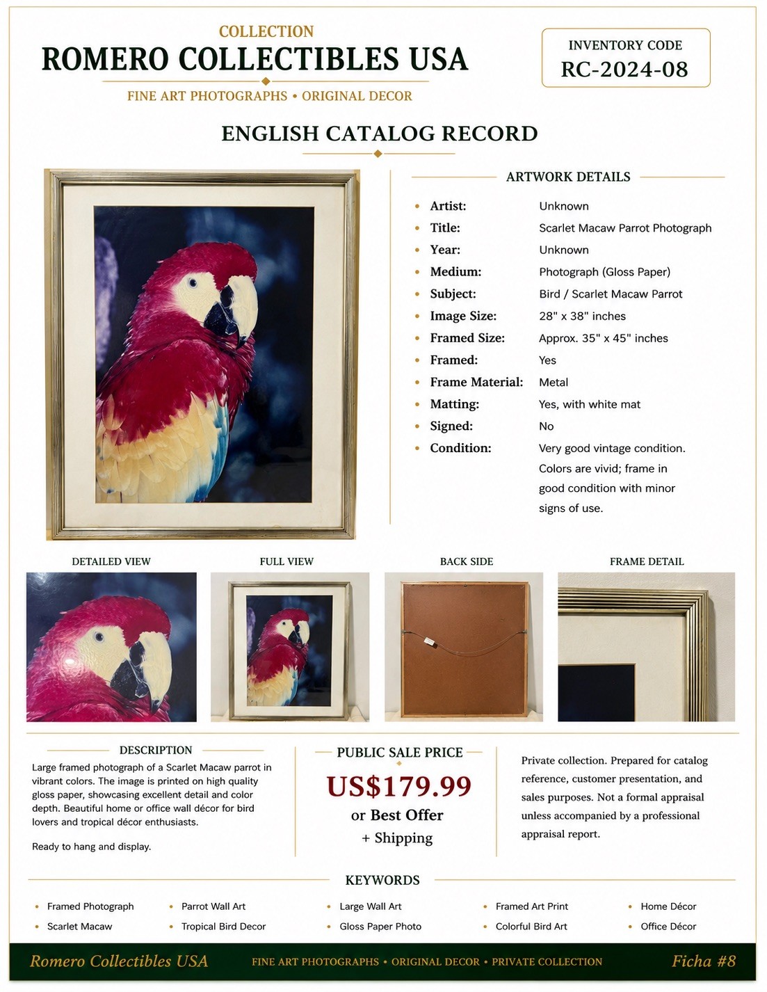 Large Framed Scarlet Macaw Parrot Photograph Wall Art 28×38 Tropical Bird Decor