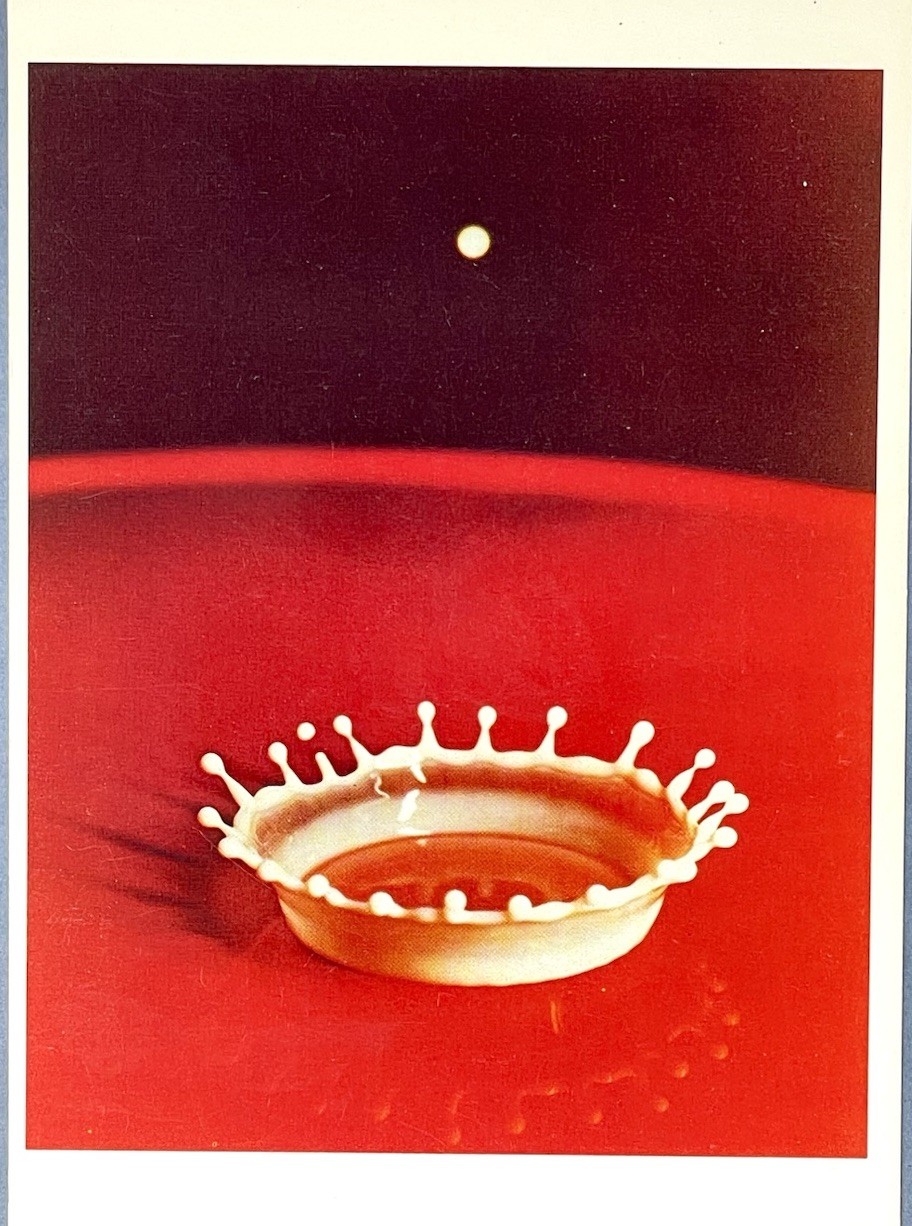 Milk Drop Coronet By Harold D. Edgerton Fotofolio Art Print Card 1988