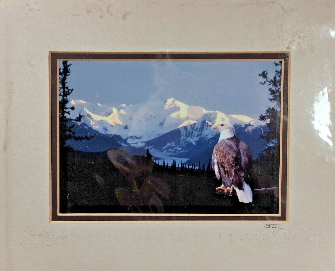 Original Photo Artwork American Bold Eagle Mountains Signed & Numbered by Artist