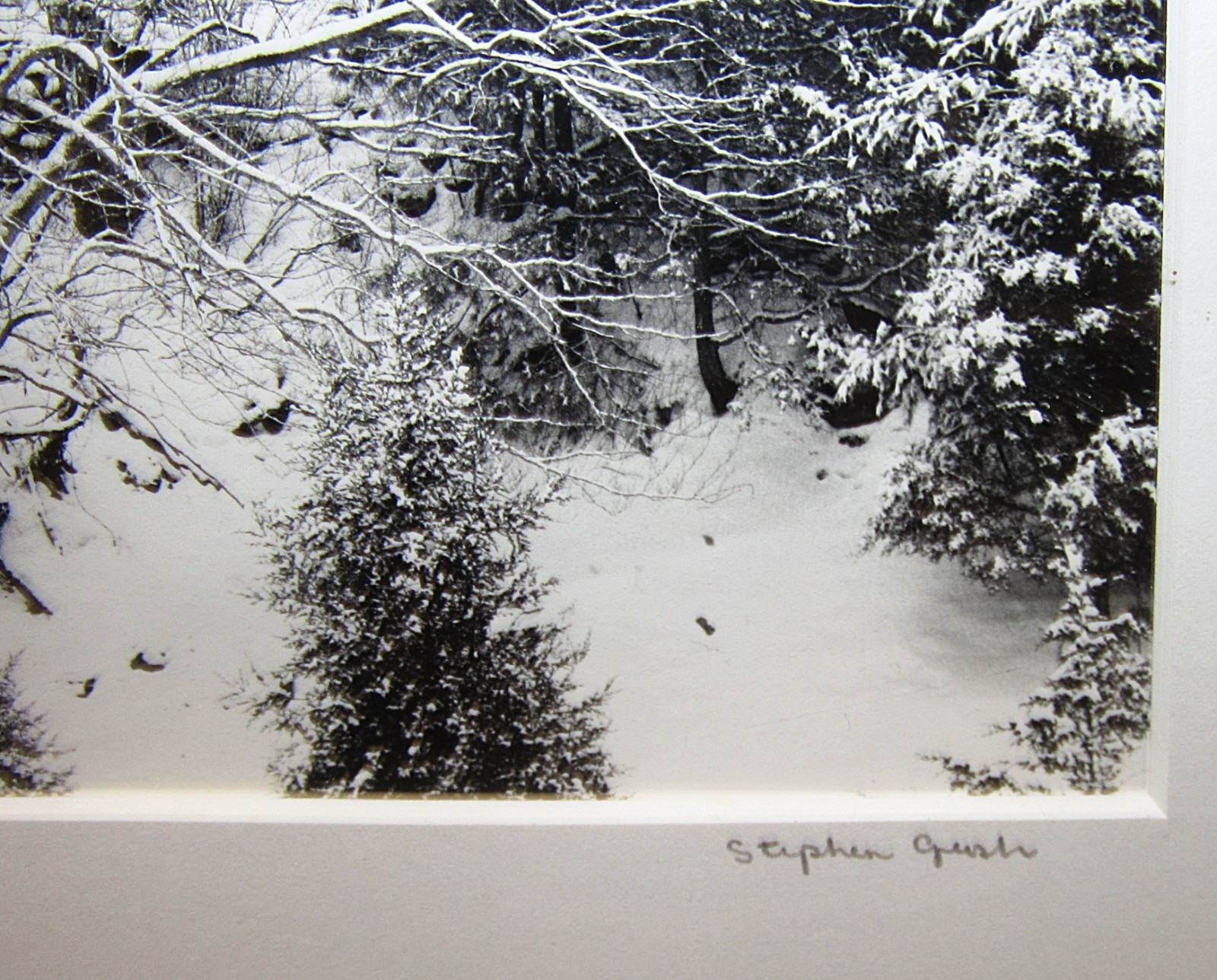 Stephen Gersh Gelatin Silver Print Photograph Trees in Snow Listed Photographer