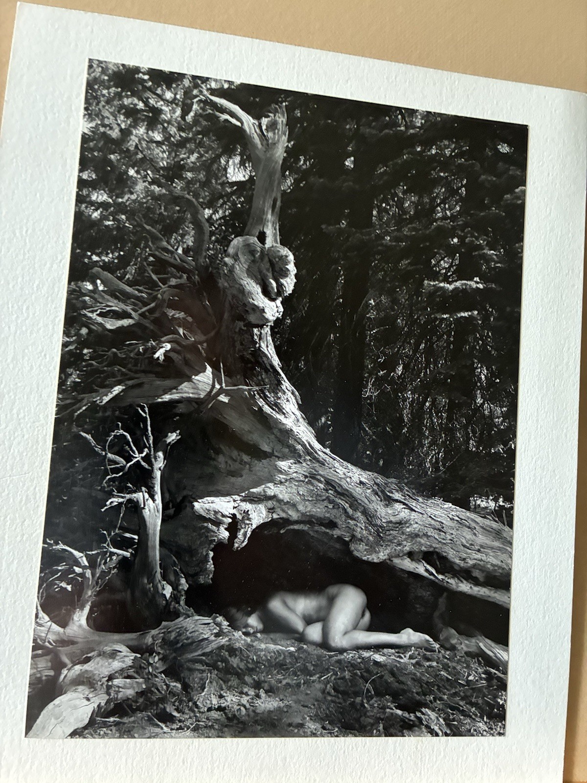 Cole Weston 1979 Gelatin Silver Photograph “Lake Almaden” Stamped Dated