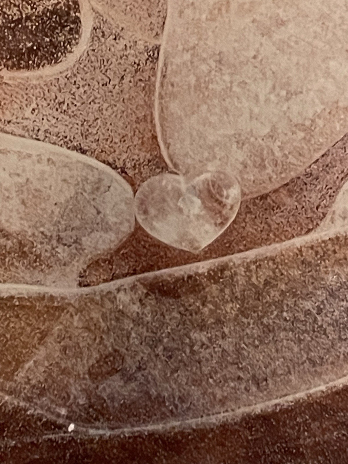 Original Photograph On Metal Sedona,Arizona By Claudia Cooke