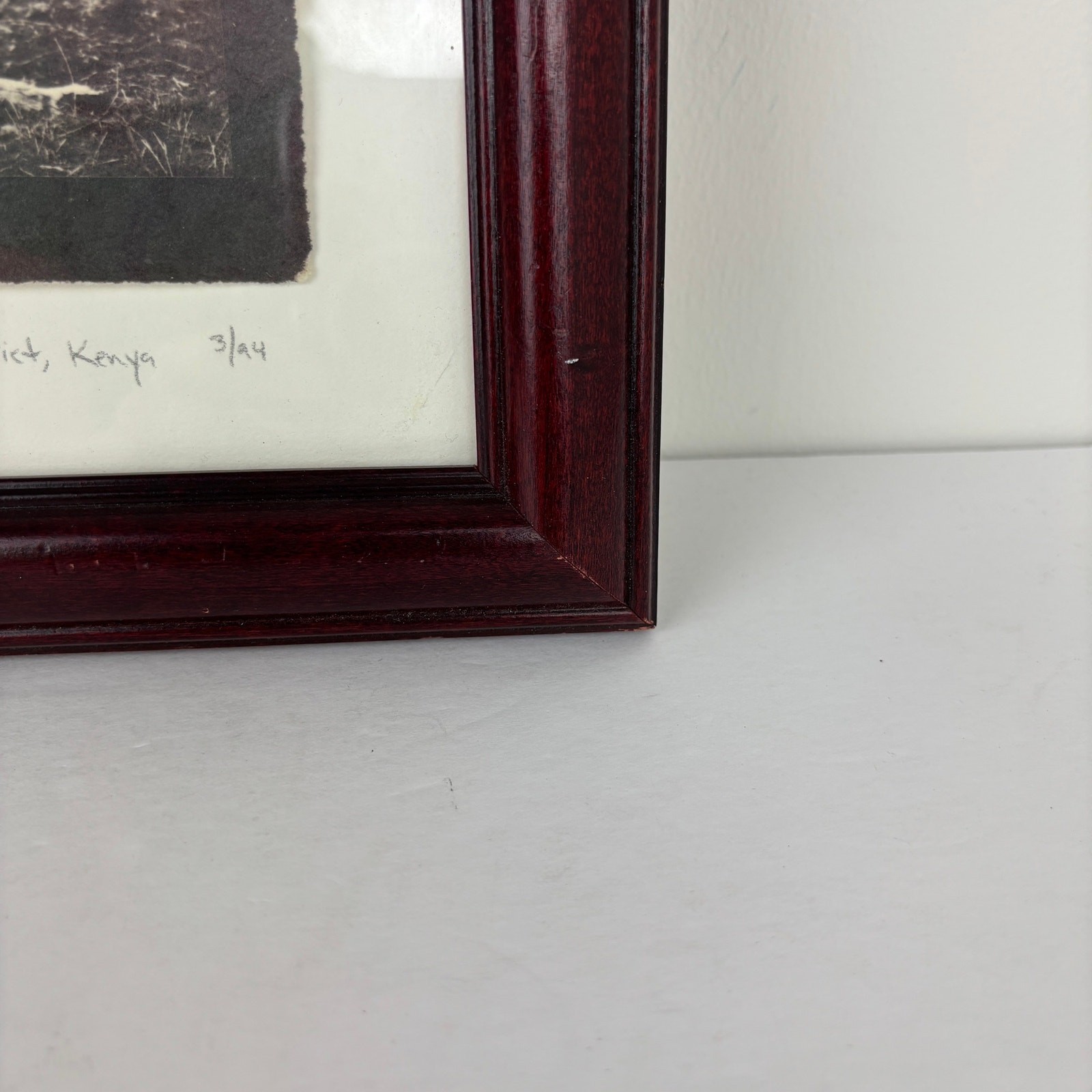Framed Photo “Lion- Northern Frontier District Kenya” 12″ x 10.5″ Vintage