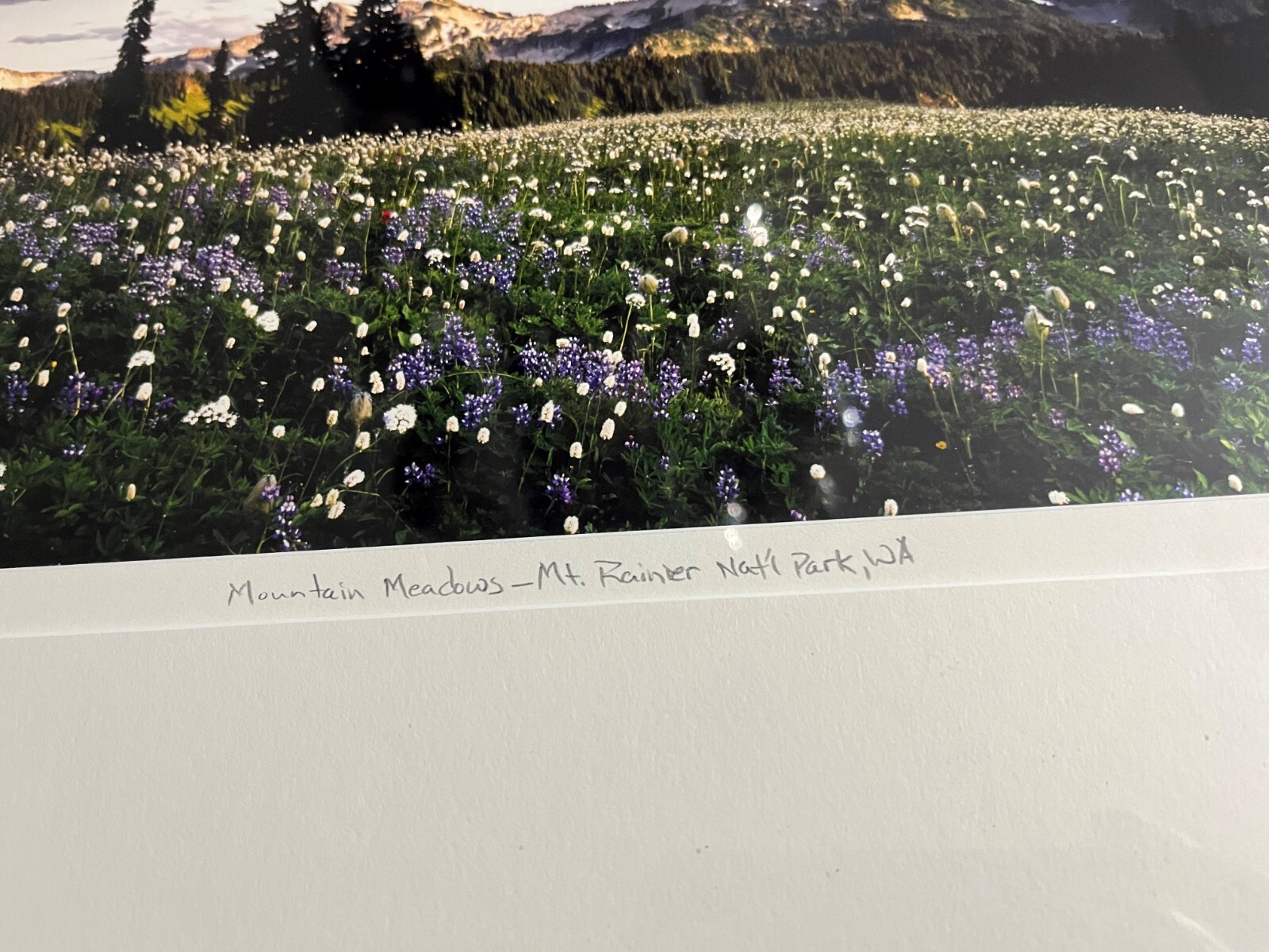 DOUG REMIEN Mountain Meadows Mt Rainer Park 156/400 Limited Signed Framed Photo