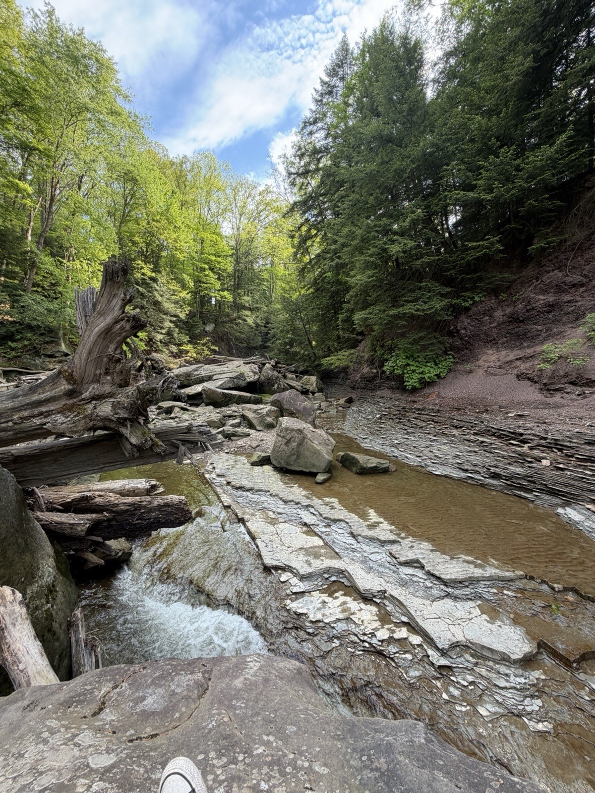 Nature Landscape Photograph, Color Portrait Forest Creek Rocks Trees