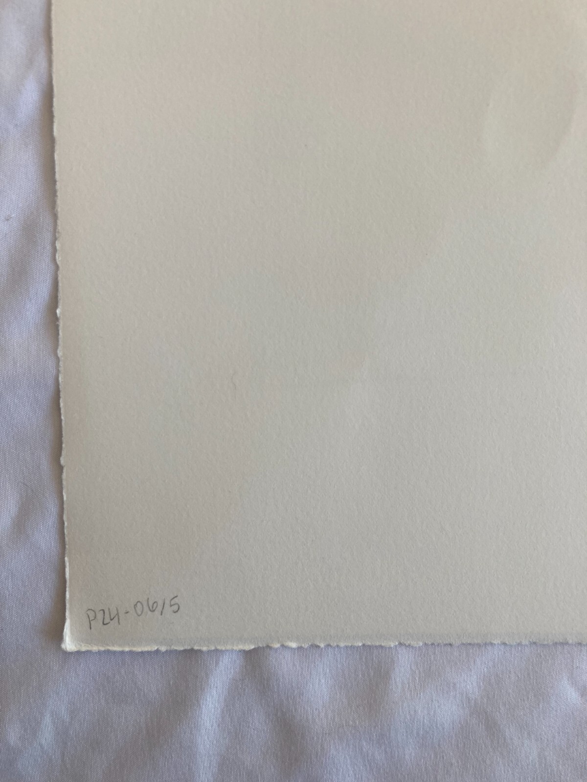 WILLIAM T. WILEY Signed DENEB Lithograph 1996 LIMITED EDITION Print Cleveland