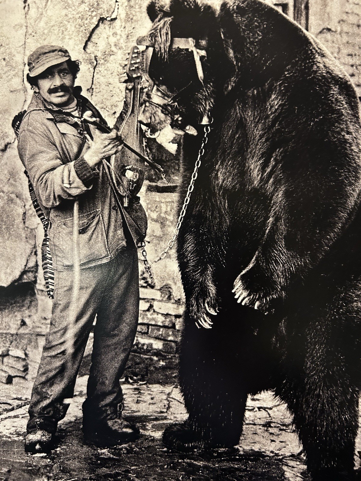 Jacko Vassilev-Silver Gel Print-Award Winning Photographer-“Dancing Bear” SIGNED