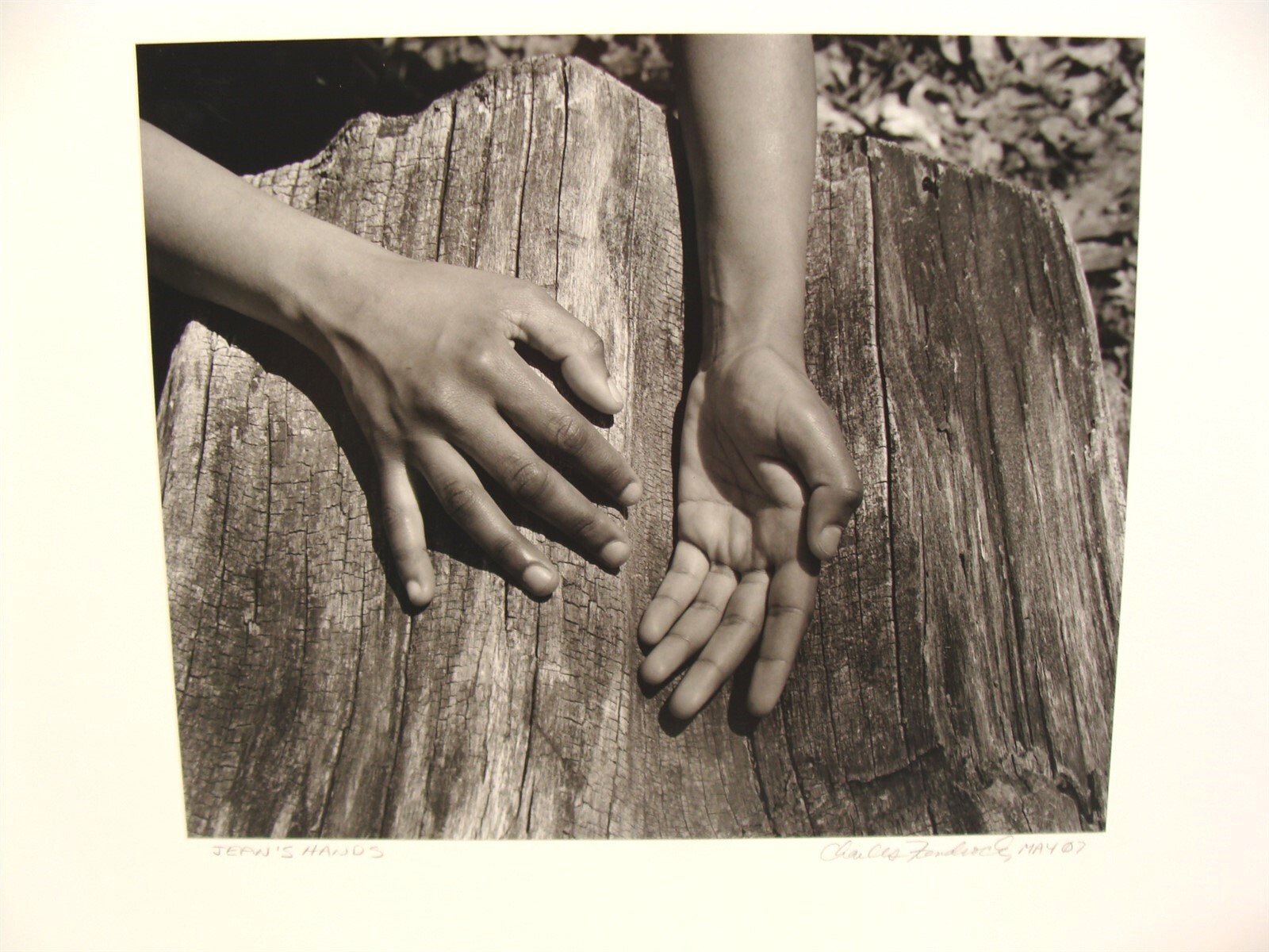 2 Original 2007 Charles Fendrock Hands Photograph