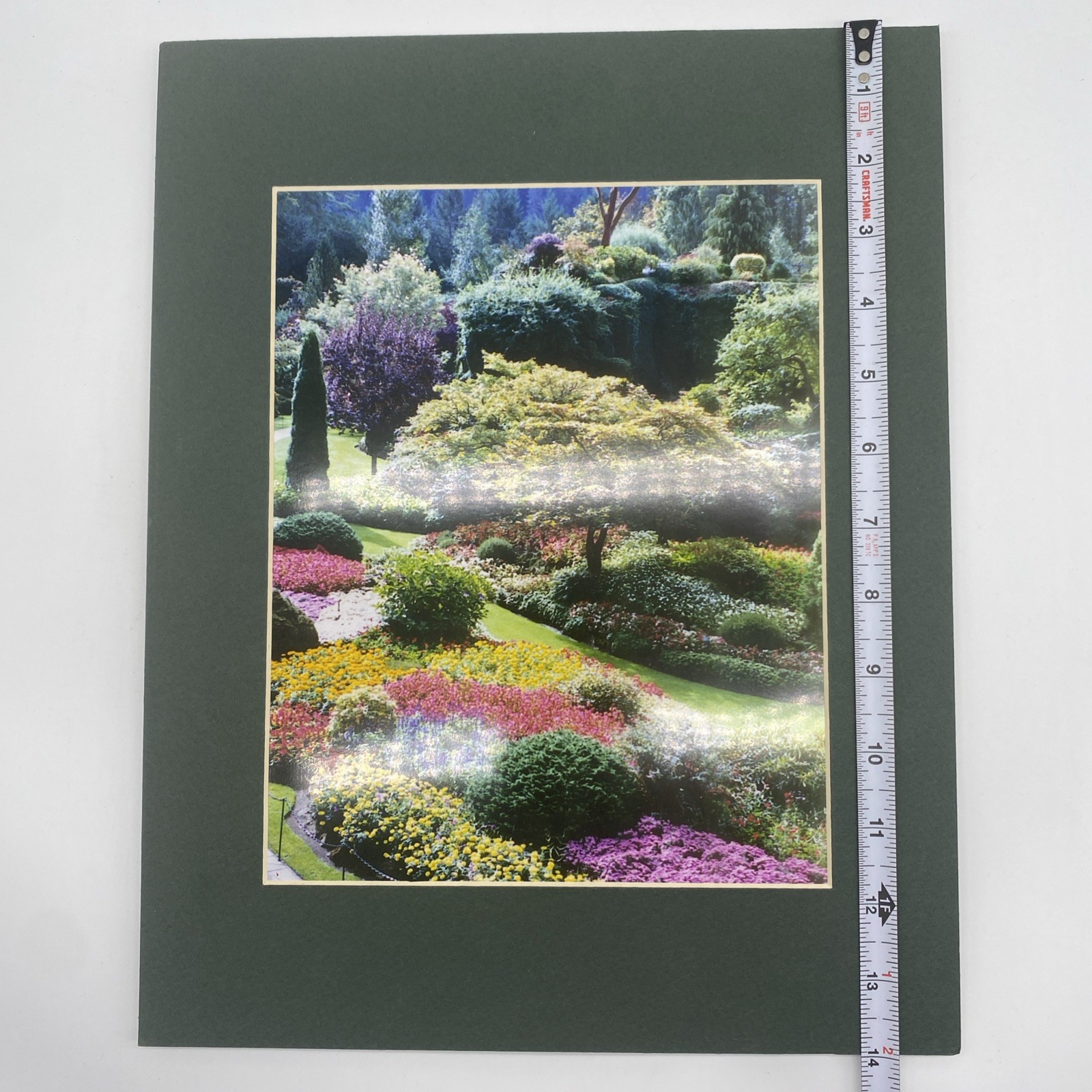 Matted Flower Garden Photo Print 11 X 14 Wall Art Gallery Decor
