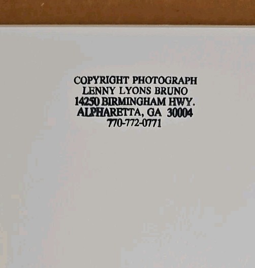 Lenny Lyons Bruno Art Photograph Yellow Tulips Still Life Matted 11×14