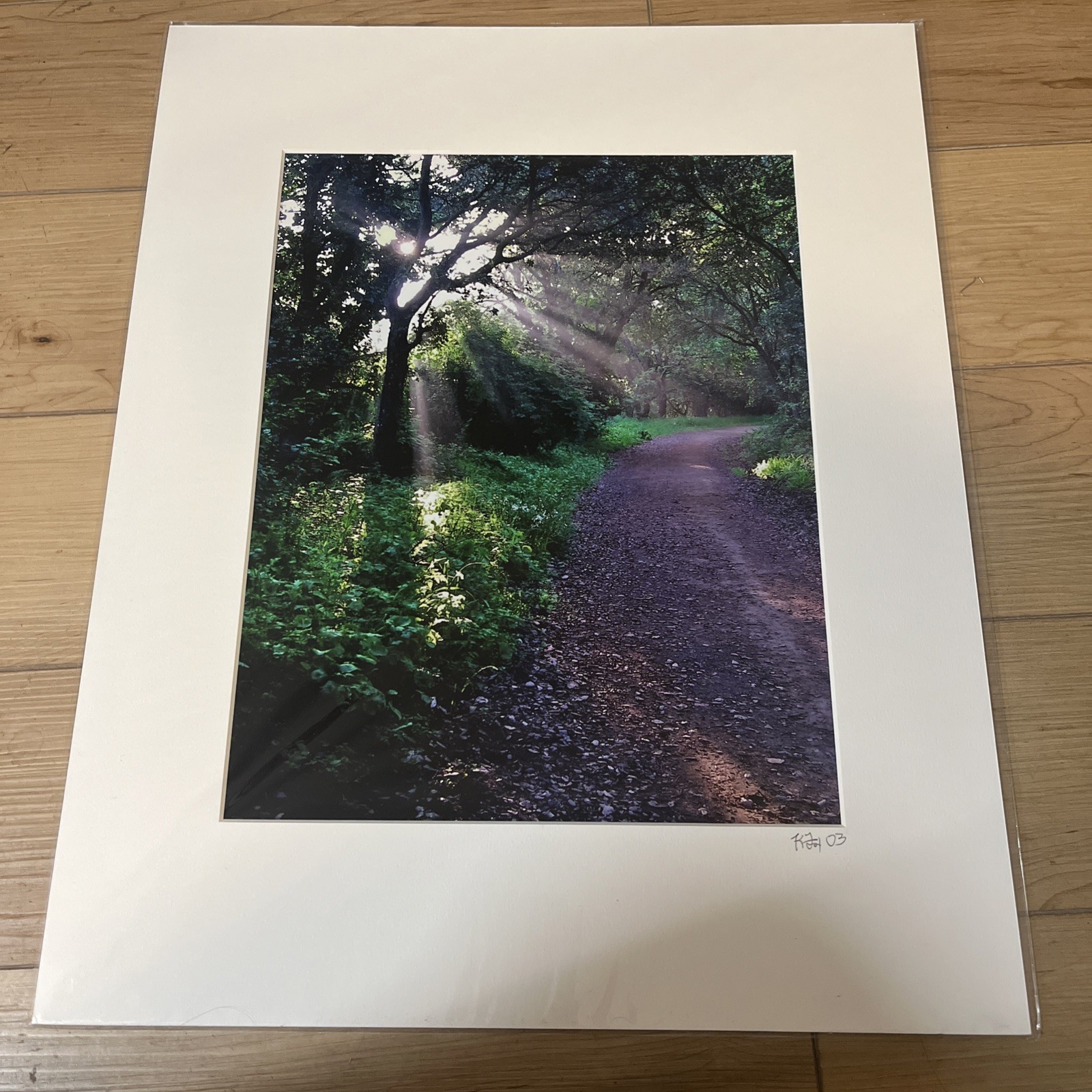 Kevin Fox Lake Chabot Rays Trees Trail Matted Photo 16×20 Signed 2003