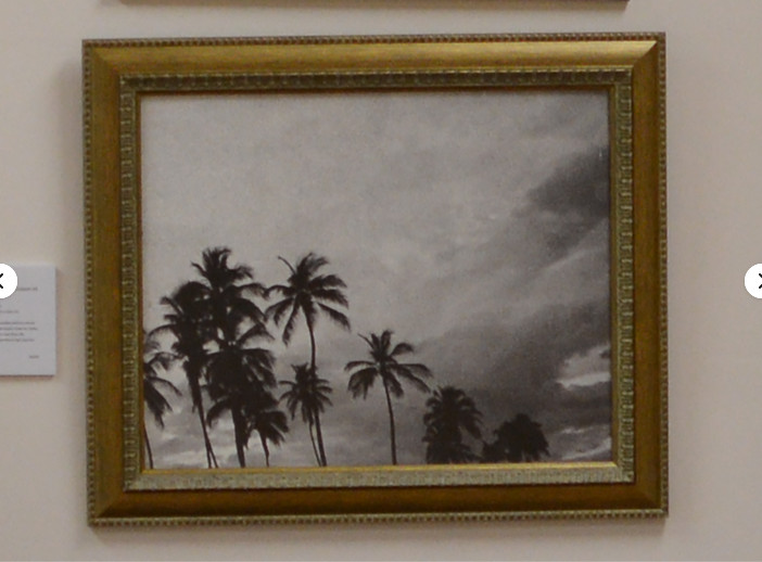 Tropicoco Palmas, Cuba, dyptych 16 x 20in Left/Right art photos, Mel Gonz, 2017