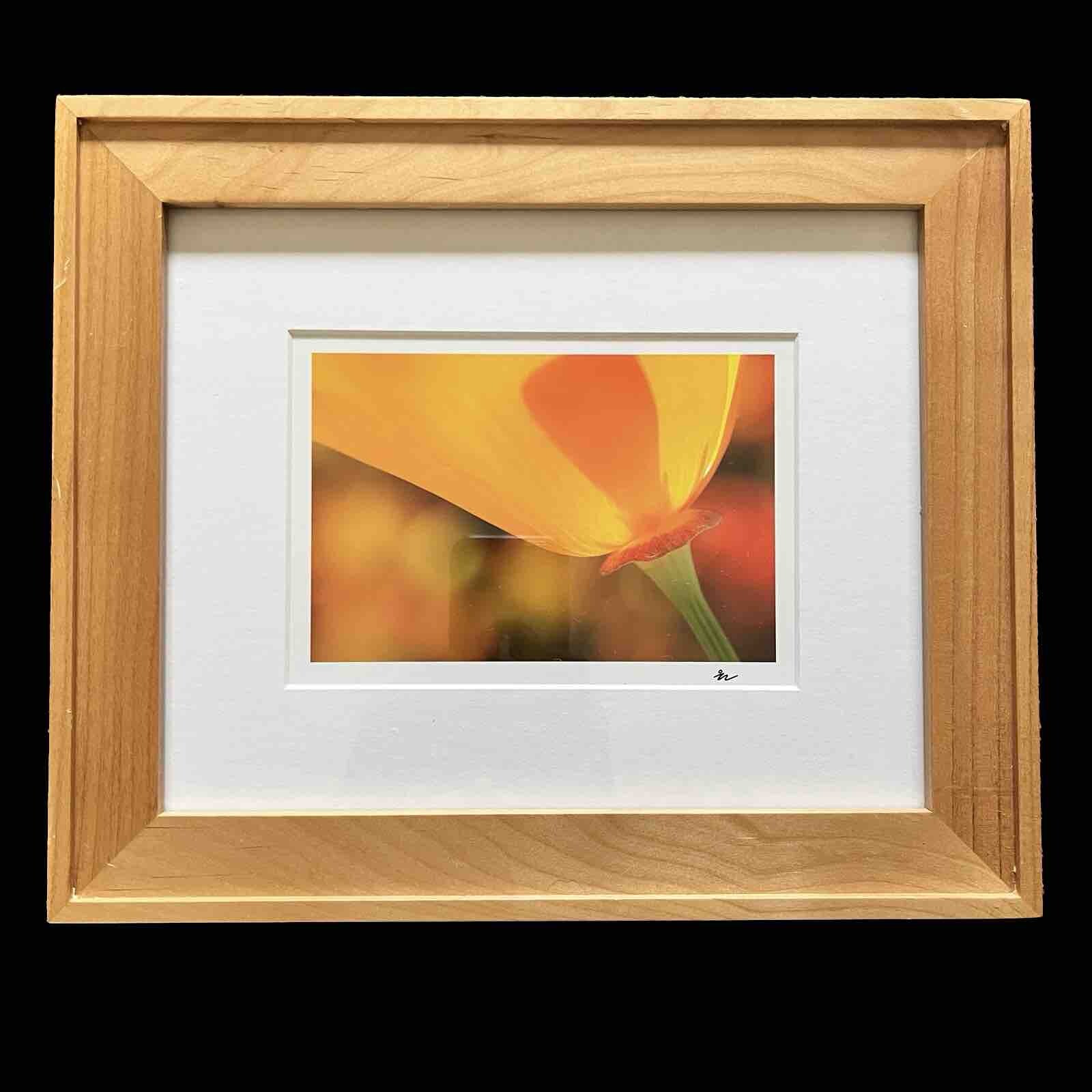 California Poppy Flower Art Photograph Signed & Framed