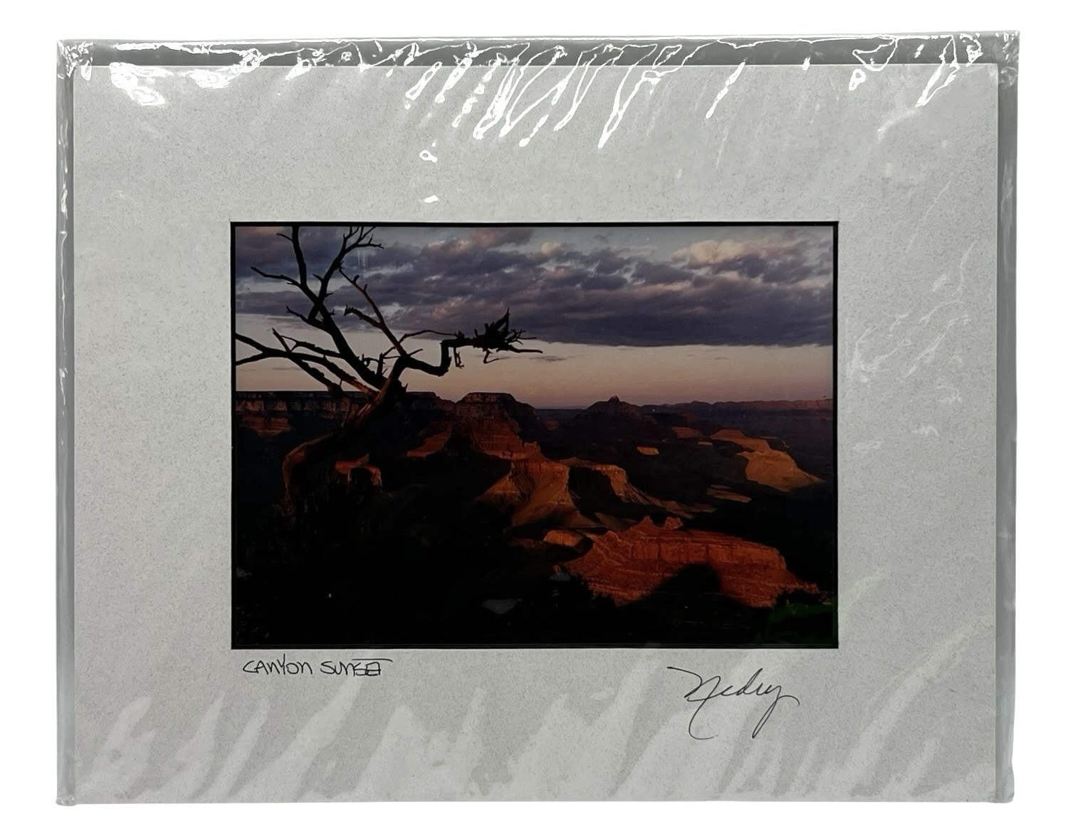 Canyon Sunset Signed Photo The Grand Canyons Landscape 4.5 x 6.5 Matted 8 x 10