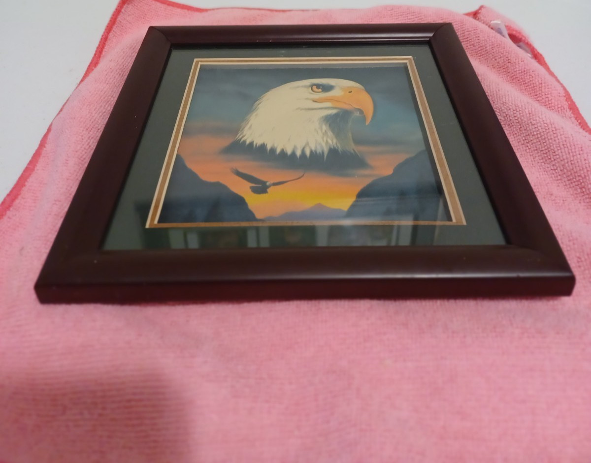 Small Framed American Bald Eagle Print Picture of eagle in flight 9×9