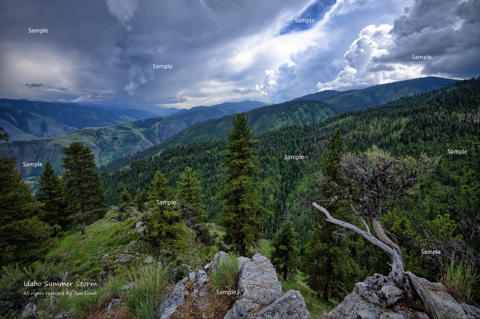 Summer Storm Seven Devils Mountains Idaho Landscape Photo Poster Print SD30