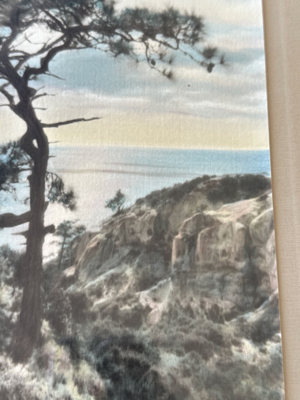 Lg VTG J.M. Garrison Hand Tinted Oil Color Photo Torrey Pines 12.5”x23.5” VGC