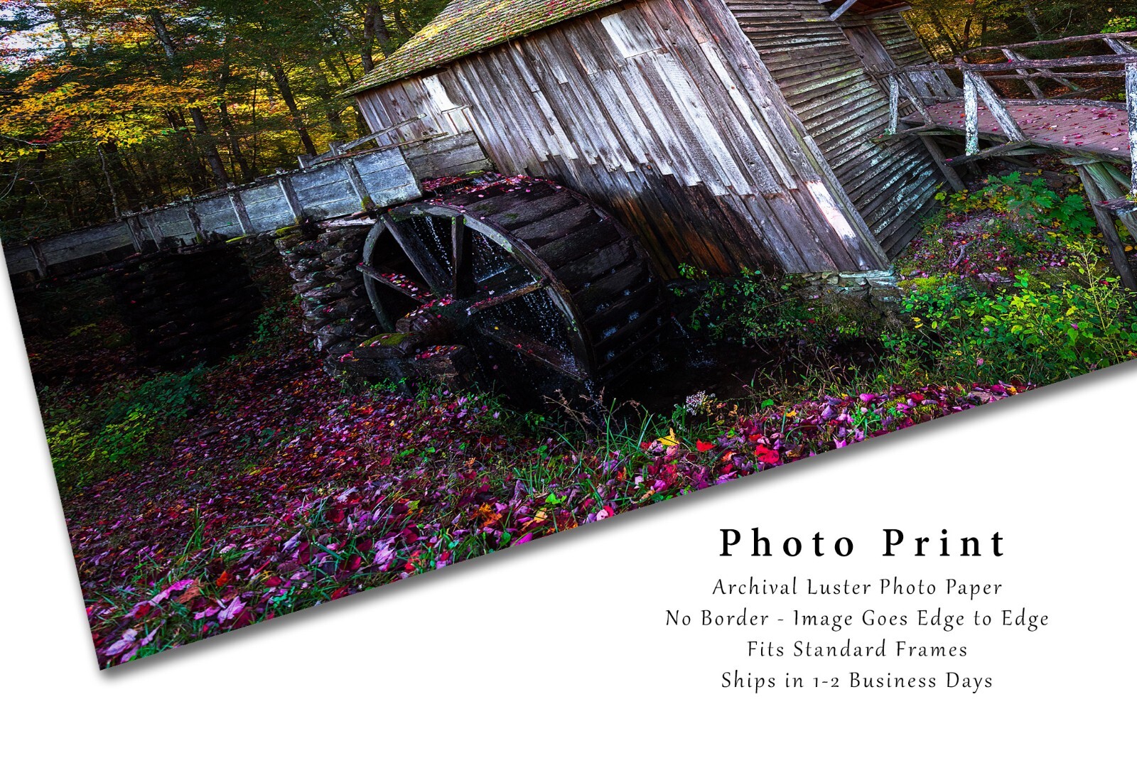 Cable Mill Photography Print: Tennessee Great Smoky Mountains Cades Cove Phot