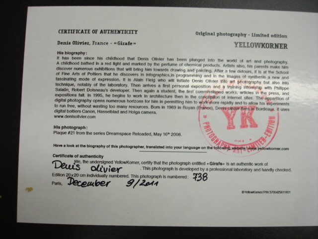Yellow Komer Certify Photograph Glrafe Limited Edition 20×20 cm #738 Beautiful