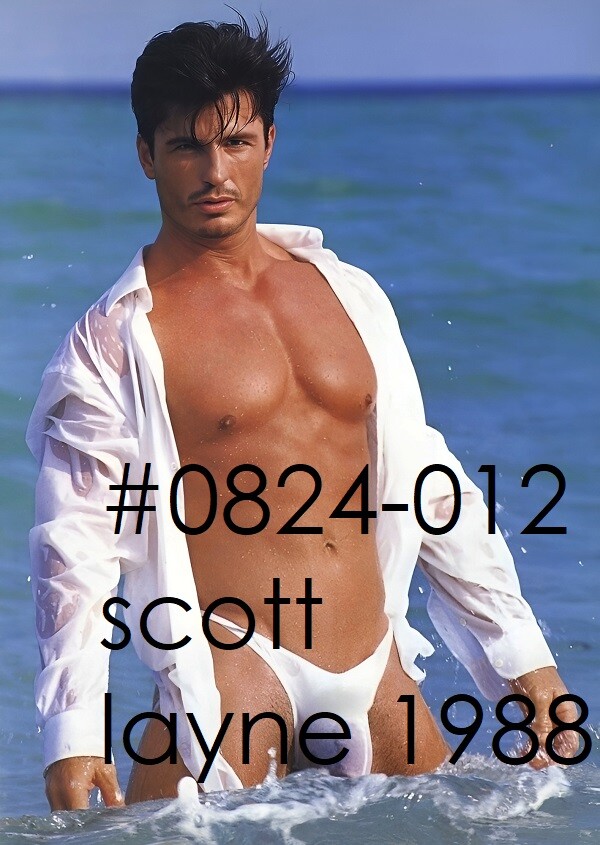 VINTAGE MALE PORTRAIT #0824-012 -scott layne 1988 -free shipping in usa
