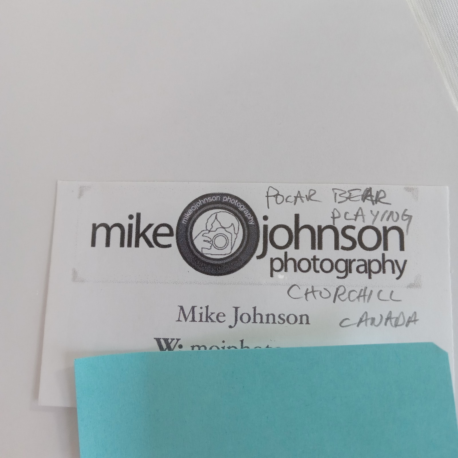 Polar Bear Photography Prints Set of 2 Matted Wildlife Art Photos Mike Johnson