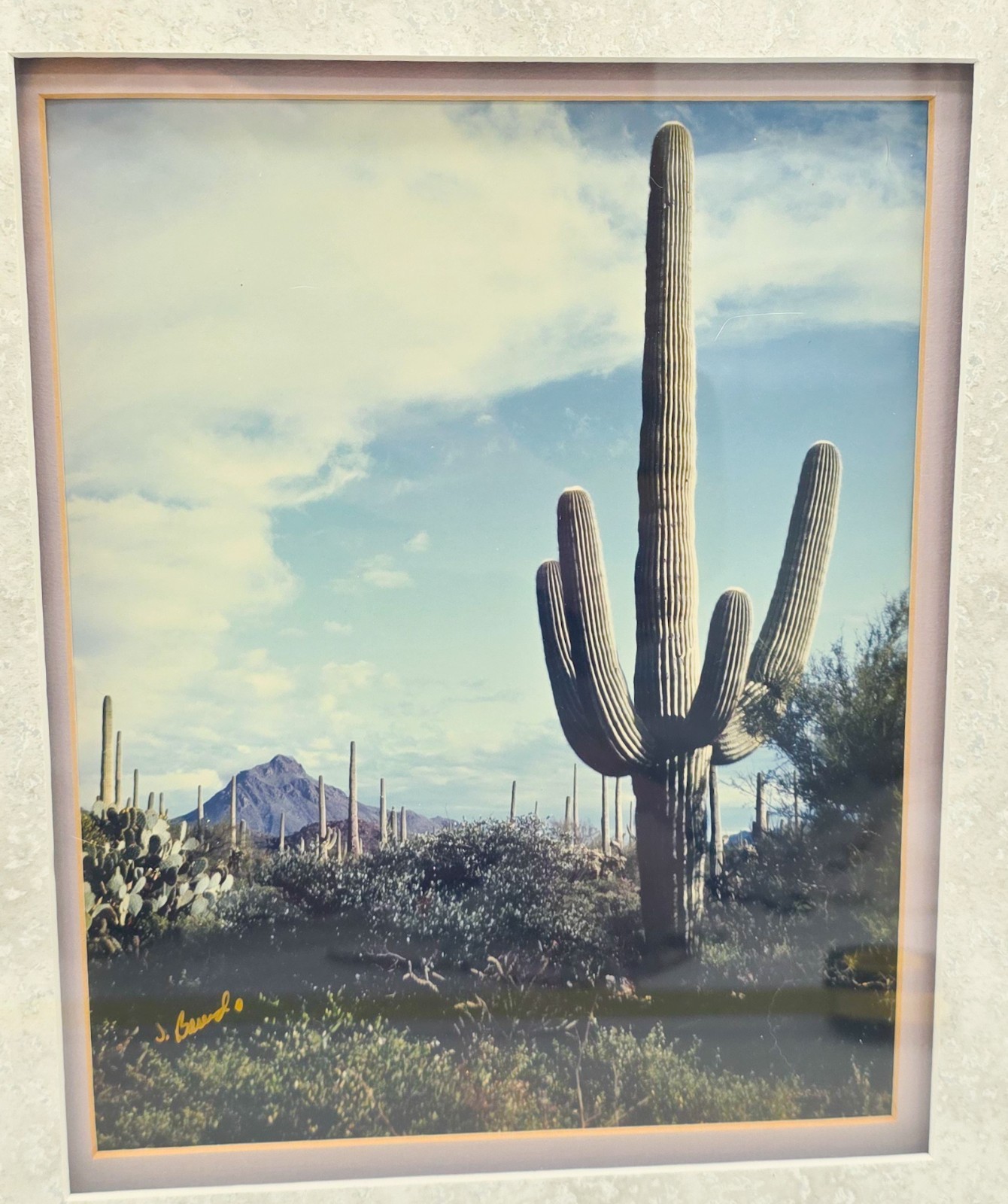 John F. Berend Signed Desert Saguaro Photograph Framed Southwest Art 16×17”
