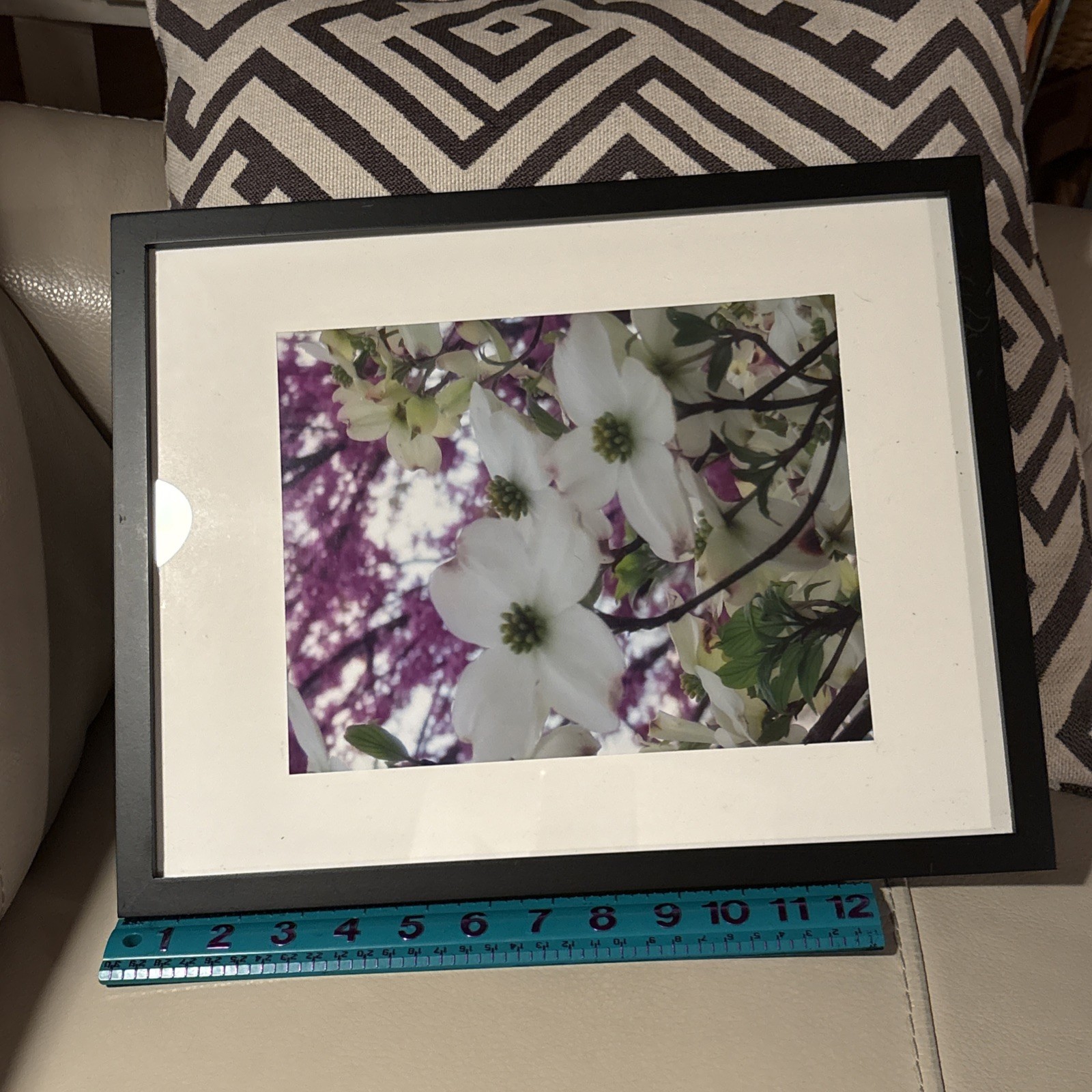 Nature photograph framed. color photograph, flowers, framed and matted. Dogwood