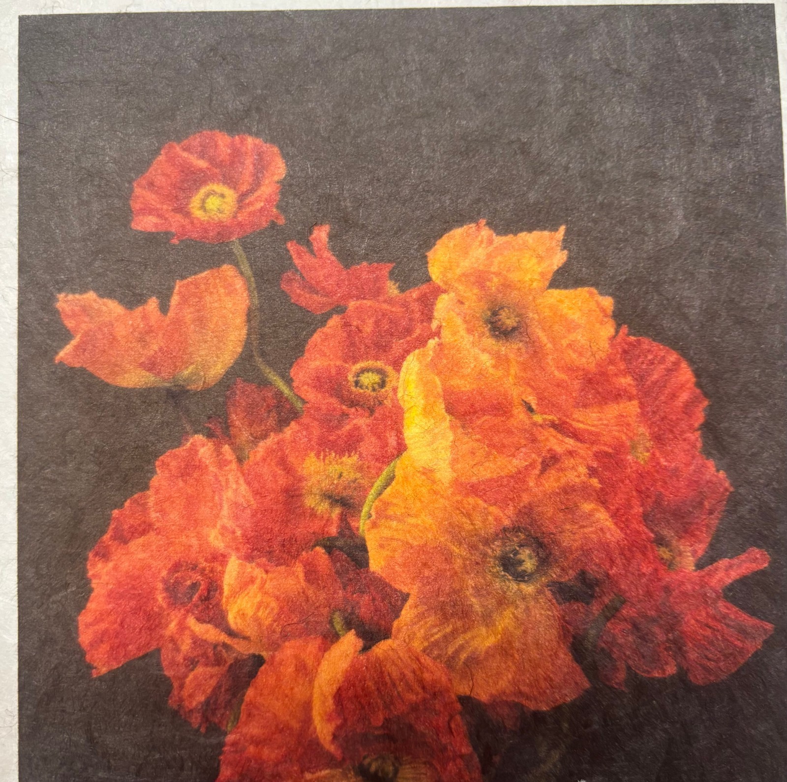 Vintage JONATHAN SINGER Orange POPPIES Bouquet FLOWER Botanica Signed PHOTOGRAPH