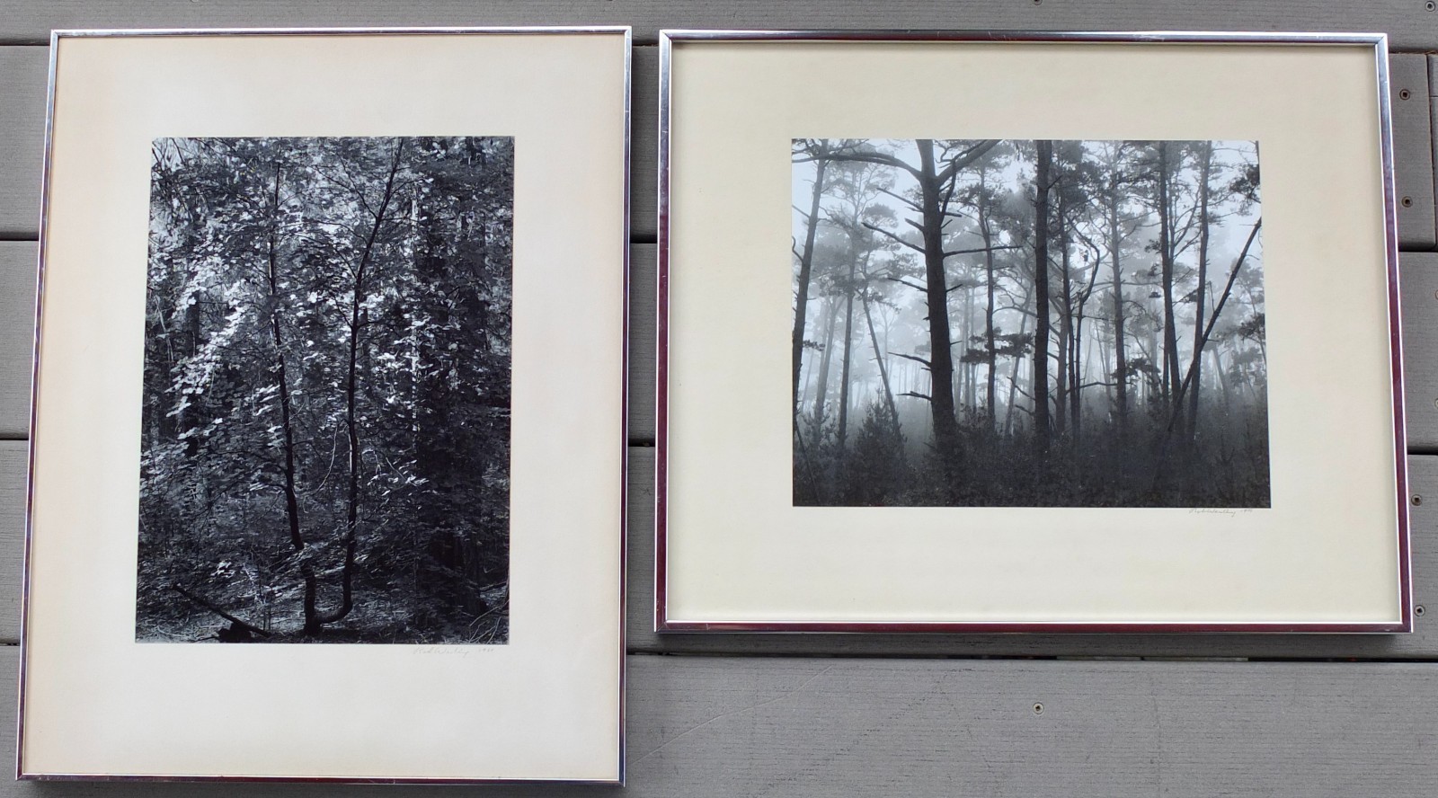 Robert (Bob) Werling 1968 Photograph Early Morning Light Pencil Signed In Frame