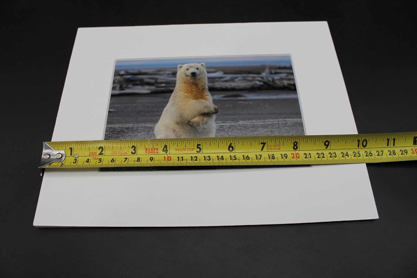 Signed Polar Bear Photograph Matted Laura Lyn Photography 2016 Arctic Wildlife