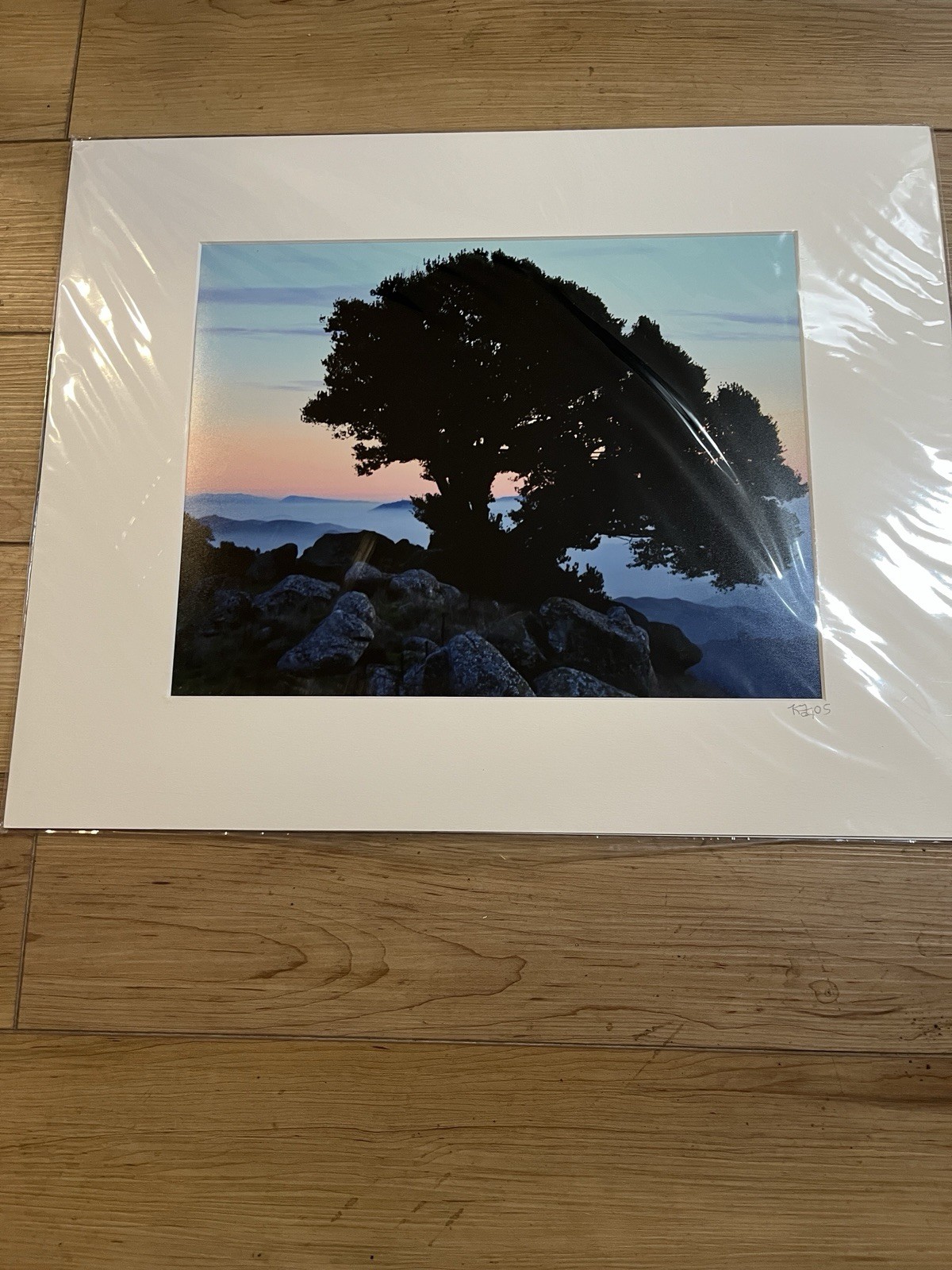 Matted Photo Tree of Life Sunrise Rocky Ridge Silhouette Kevin Fox Signed 2006