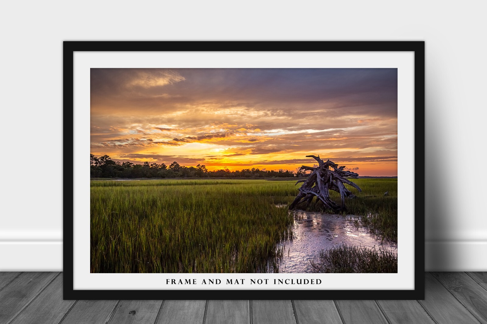 Dead Tree in Salt Marsh Print, South Carolina Pictures, Coastal Lowcountry Decor